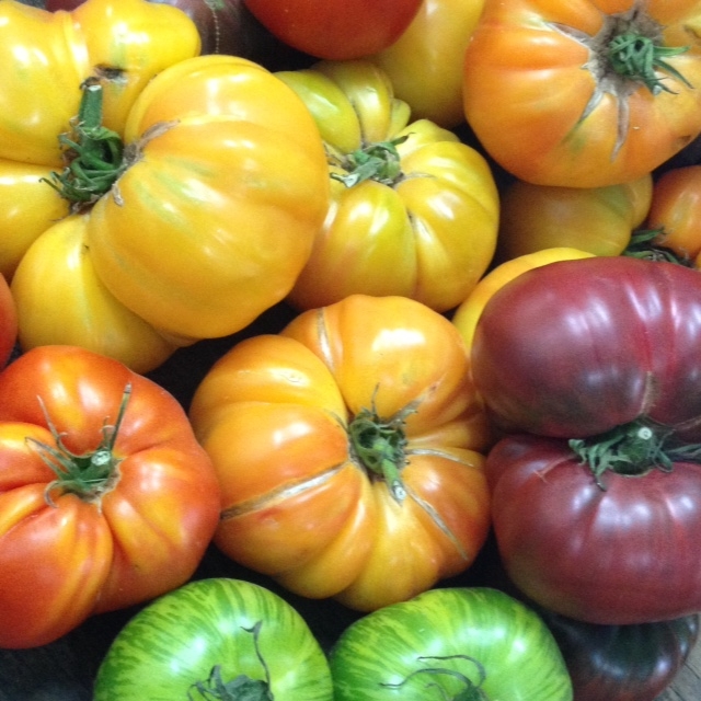 Arc en ciel de tomates !