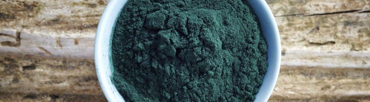 Spiruline de Brocéliande (1).jpg