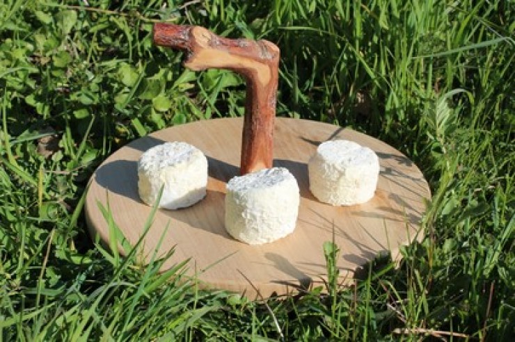 fromage de brebis.jpg
