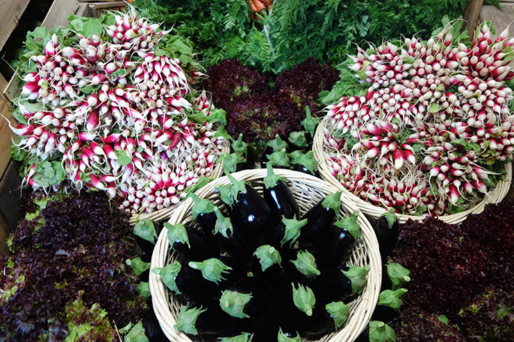 Légumes primeurs aubergines et radis roses